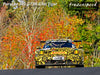 Frozenspeed puzzle Porsche 992 GT3R Eifel Tiger